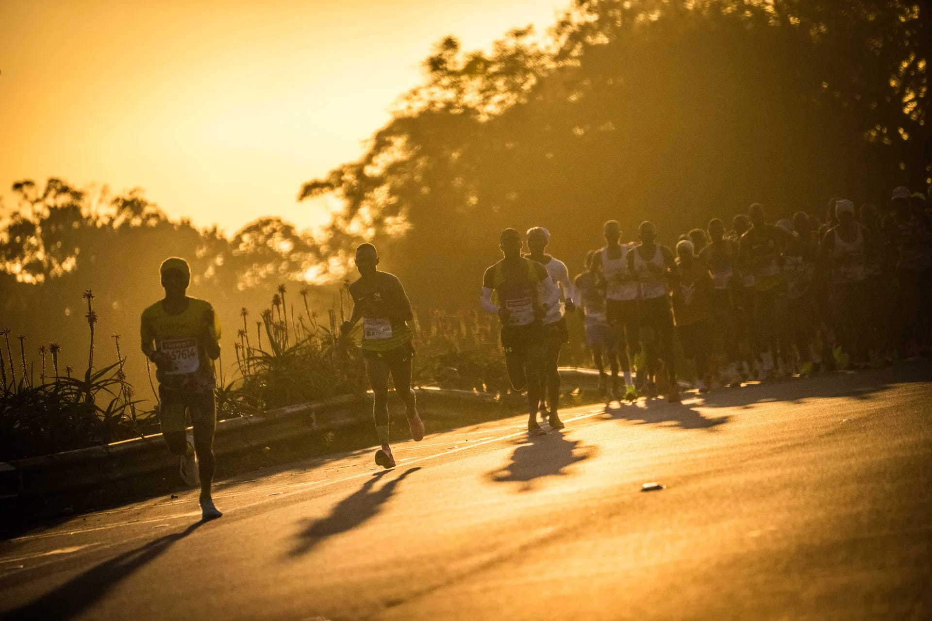 Marathon runners competing on an open road, backlit by a bright golden sunrise casting long shadows.